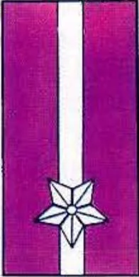 Division Insignia