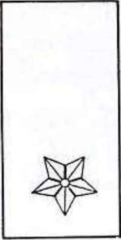 Division Insignia