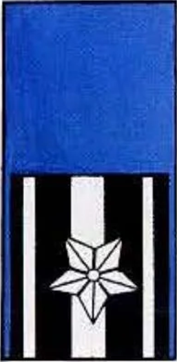 Division Insignia