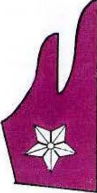 Insignia of the divisional Bersaglieri regiment