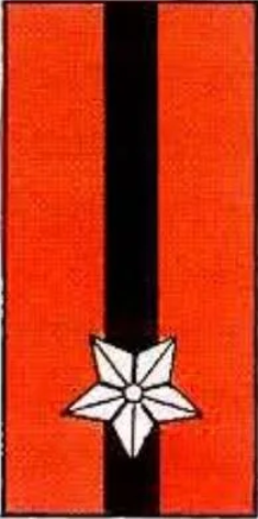 Division Insignia